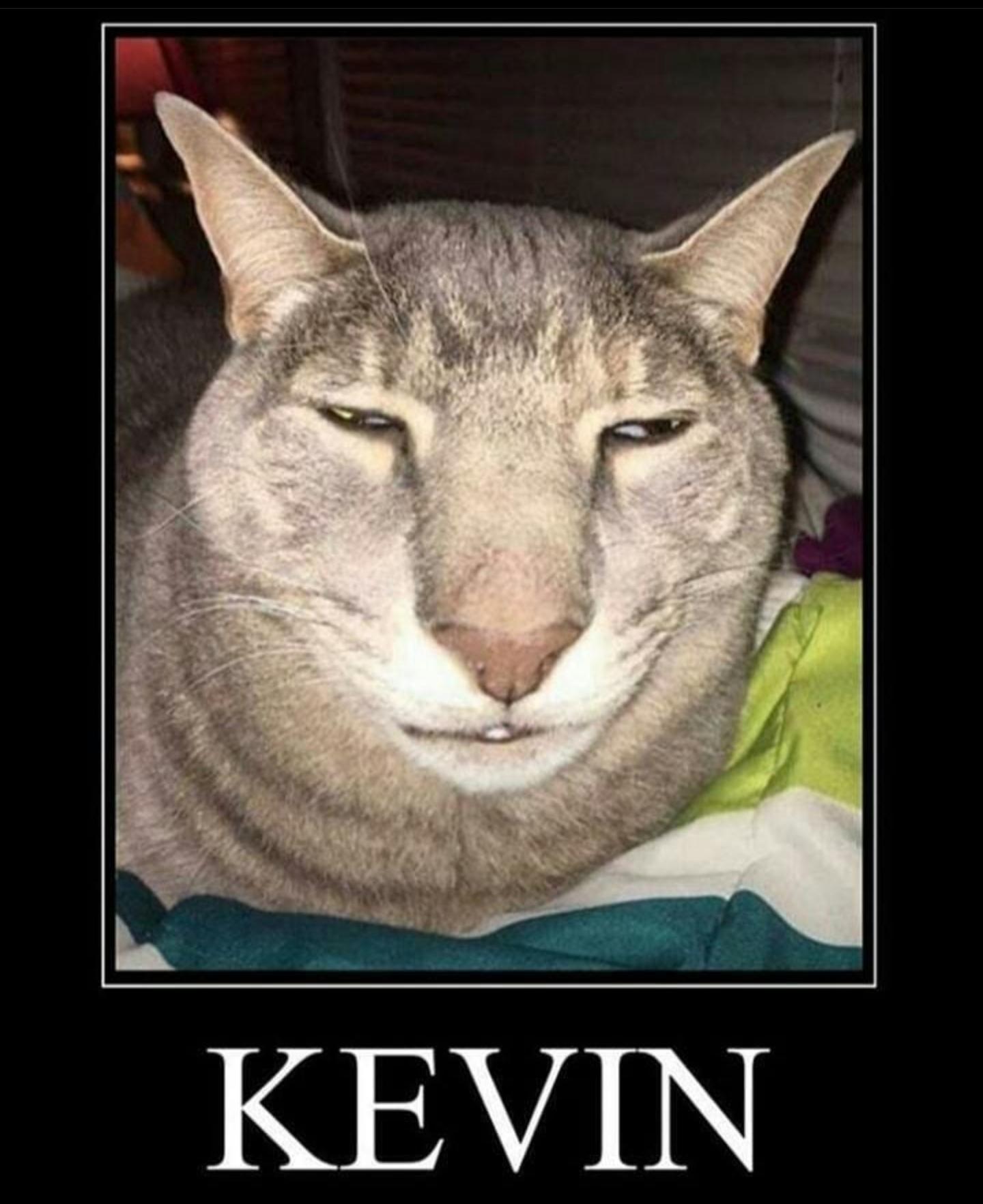 Kevin